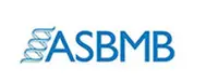 ASBMB