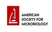 ASM